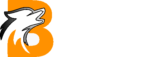 BrothersByte